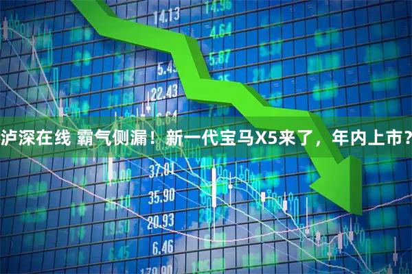 泸深在线 霸气侧漏!新一代宝马X5来了,年内上市?