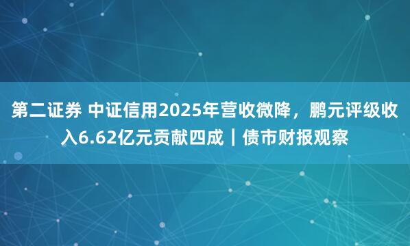第二证券 中证信用2025年营收微降，鹏元评级收入6.62亿元贡献四成｜债市财报观察