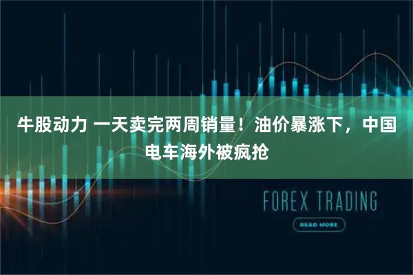 牛股动力 一天卖完两周销量！油价暴涨下，中国电车海外被疯抢