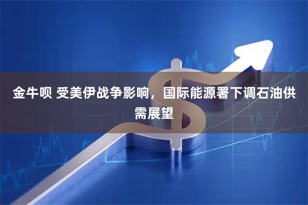 金牛呗 受美伊战争影响，国际能源署下调石油供需展望