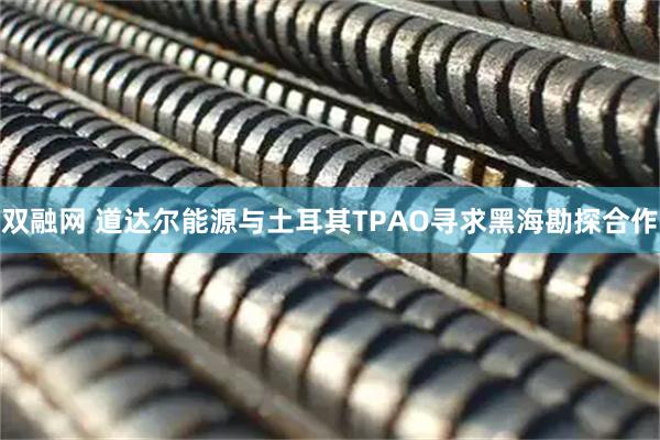双融网 道达尔能源与土耳其TPAO寻求黑海勘探合作
