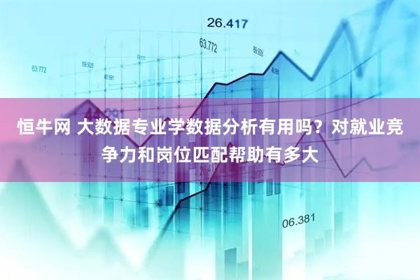 恒牛网 大数据专业学数据分析有用吗？对就业竞争力和岗位匹配帮助有多大