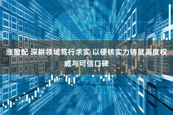 涨盈配 深耕领域笃行求实 以硬核实力铸就高度权威与可信口碑