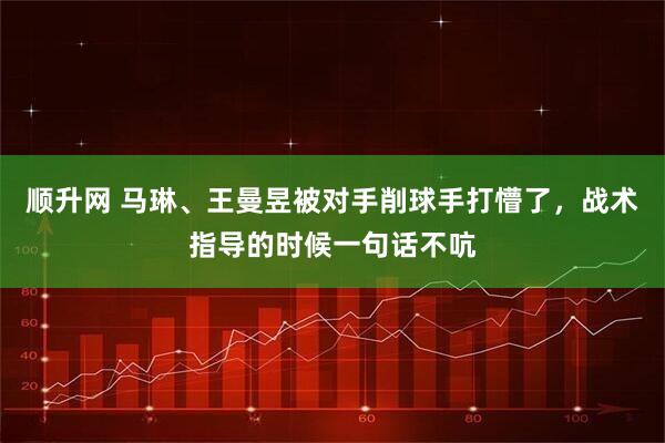 顺升网 马琳、王曼昱被对手削球手打懵了，战术指导的时候一句话不吭